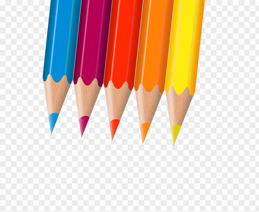 Colored Pencils Pencil PNG