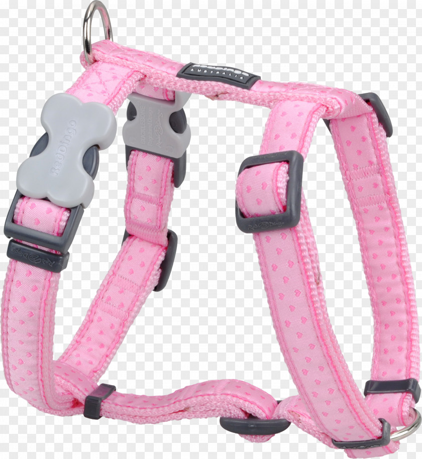 Dog Harness Dingo Horse Harnesses Collar PNG