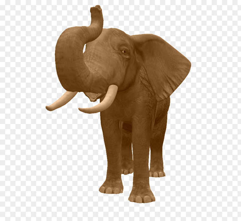 Elephants Indian Elephant African The Dog PNG