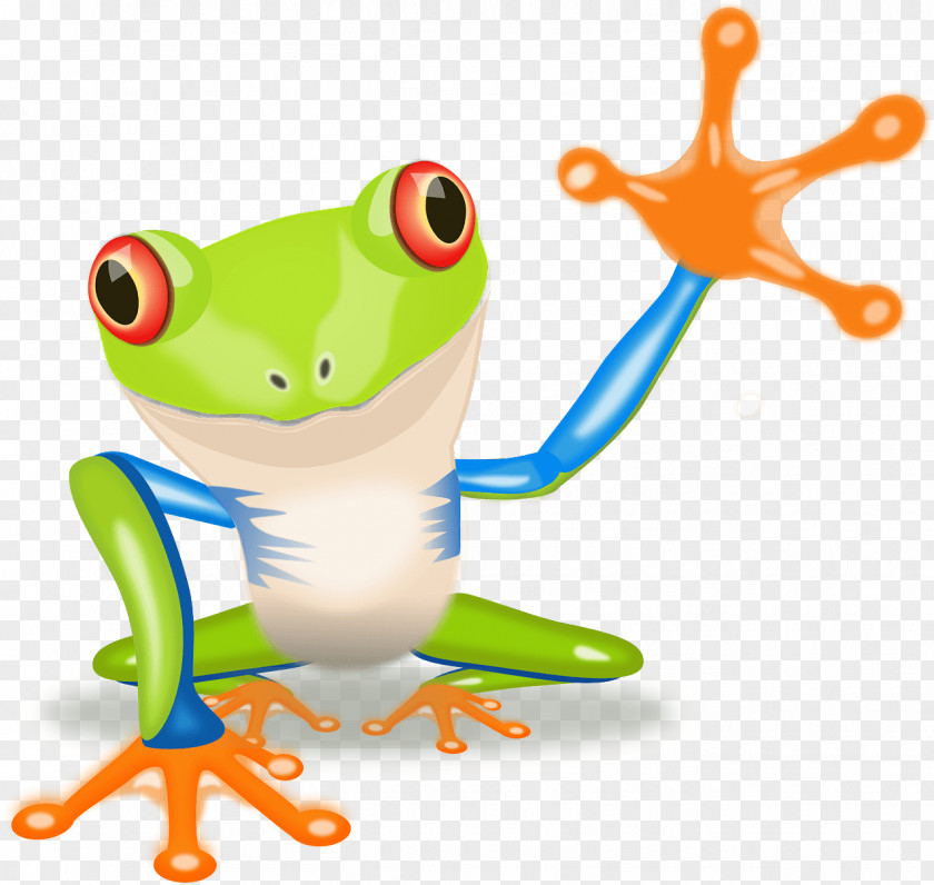 Frog The Tree Red-eyed Clip Art PNG