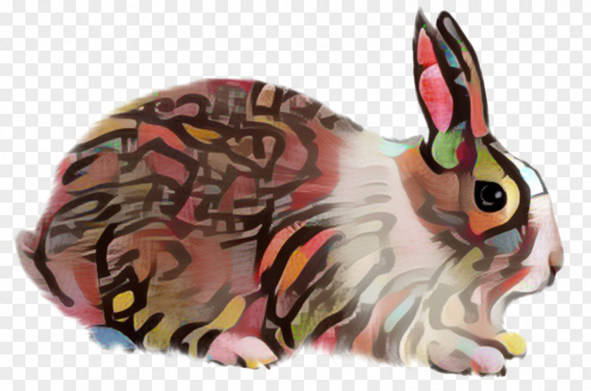 Hare Fauna Snout PNG