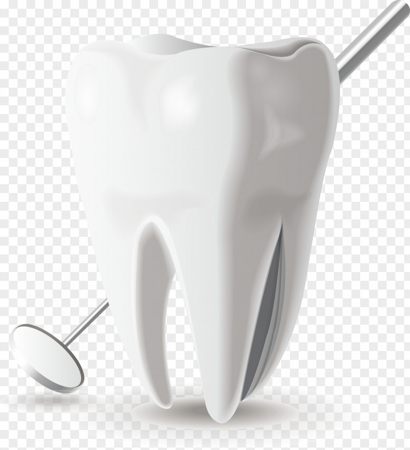 Medical Dental Model Icon Tooth Euclidean Vector Mouth PNG