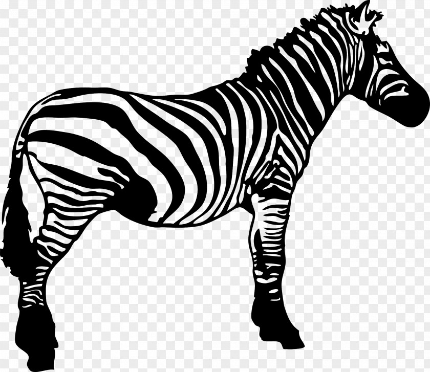 Zebra Black And White Stripe Clip Art PNG