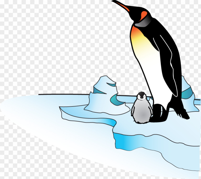 Baby Penguin Bird Clip Art PNG