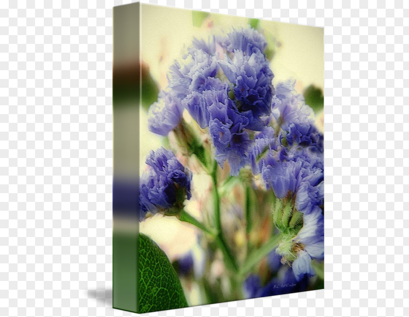 Design English Lavender Floral Cut Flowers Bluebonnet PNG
