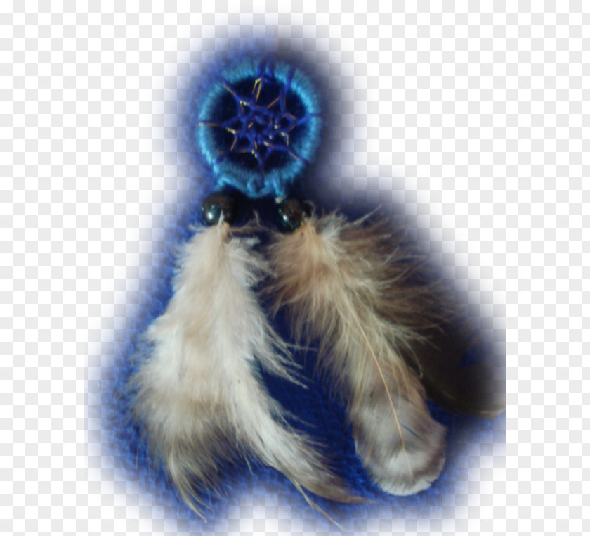 Dreamcatcher Painting Cobalt Blue Fur PNG