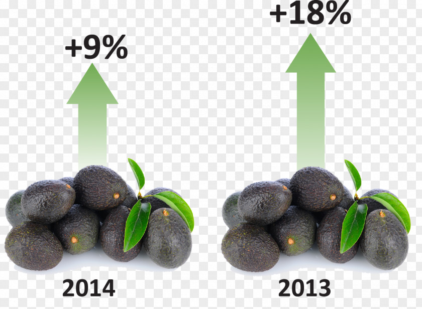 Hass Avocado Market Superfood Fruit PNG