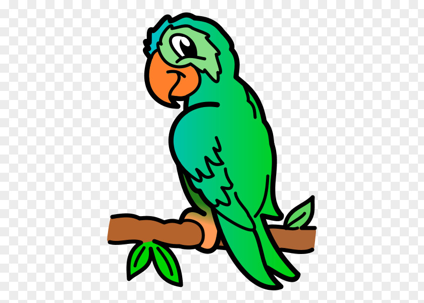 Parrot Macaw Parakeet Budgerigar Bird PNG