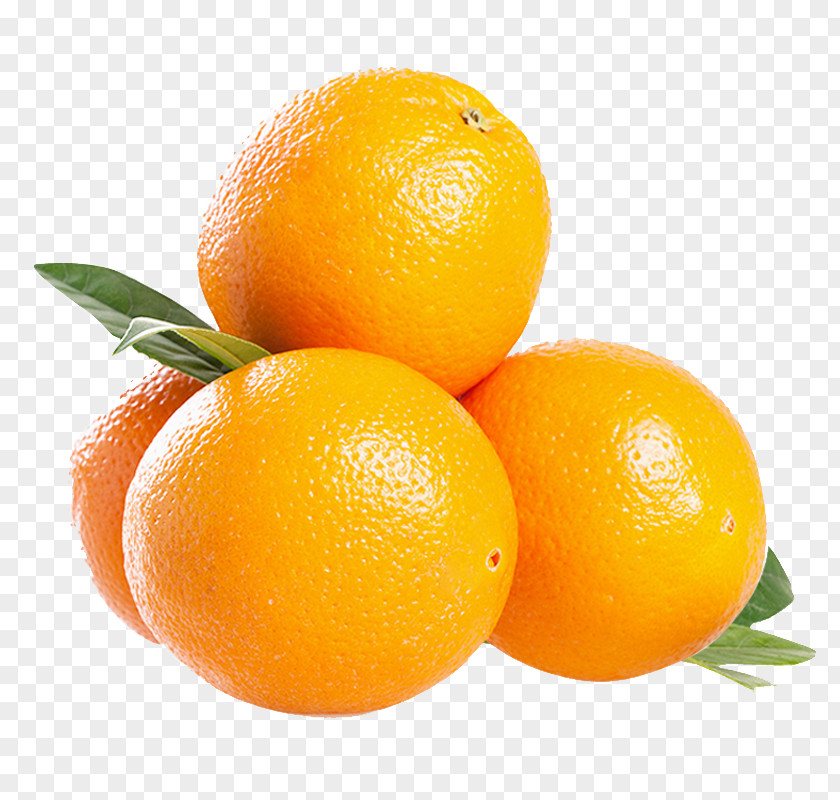South Africa Imports Of Oranges Blood Orange Mandarin Tangelo PNG