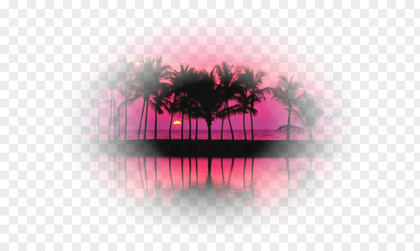 Tropical Collection Desktop Wallpaper Landscape Font PNG