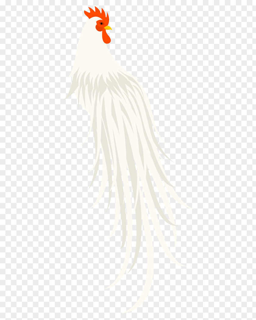 Bird Rooster Beak Dog Feather PNG