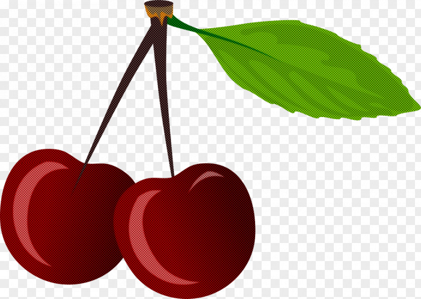 Cherry Leaf Red Plant Tree PNG