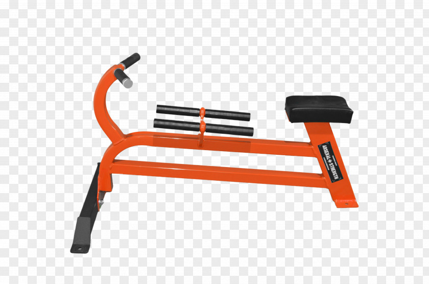 Dumbbell Exercise Machine Equipment Bench Bent-over Row PNG