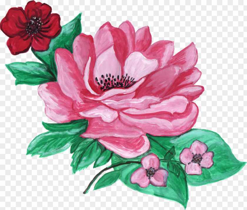 Floral Ornament Centifolia Roses Cut Flowers Design PNG