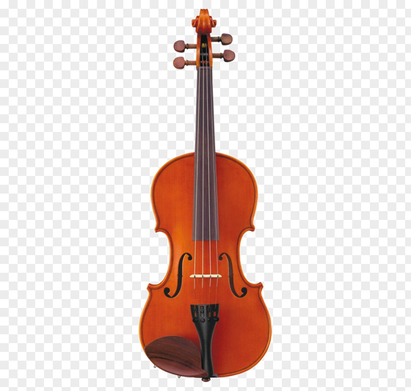 Violin Viola Musical Instruments Stradivarius PNG