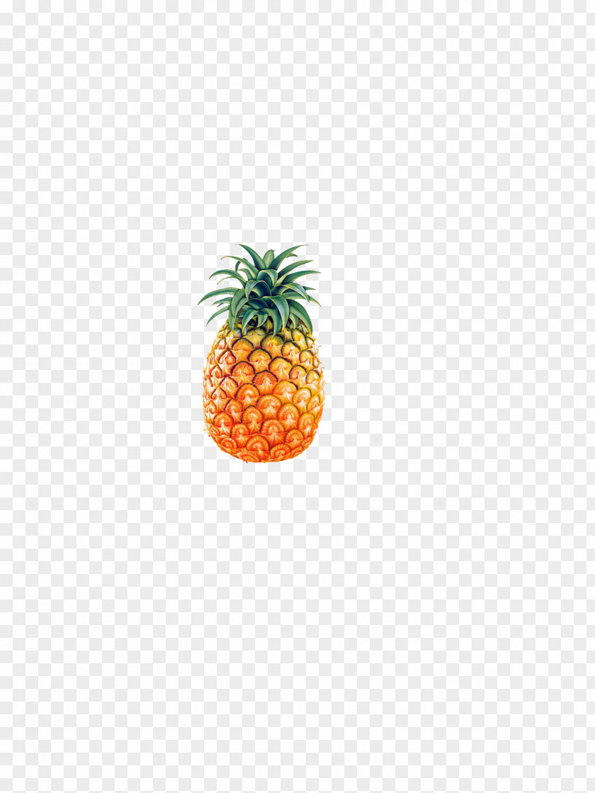 A Pineapple IPhone 6S Tote Bag Unisex PNG