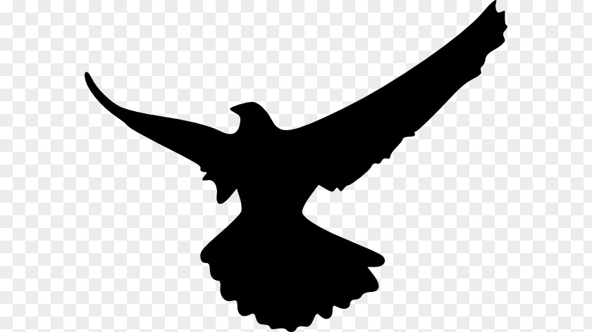 Eagle Silhouette Cliparts Bird Hawk Clip Art PNG