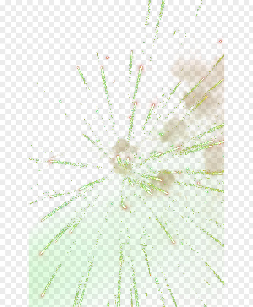 Fireworks Twig Green Pattern PNG