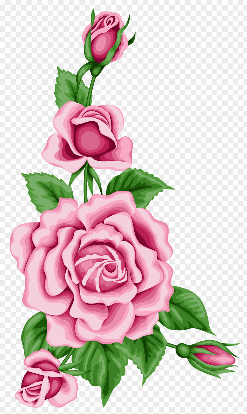 Floral Rose Flower Clip Art PNG