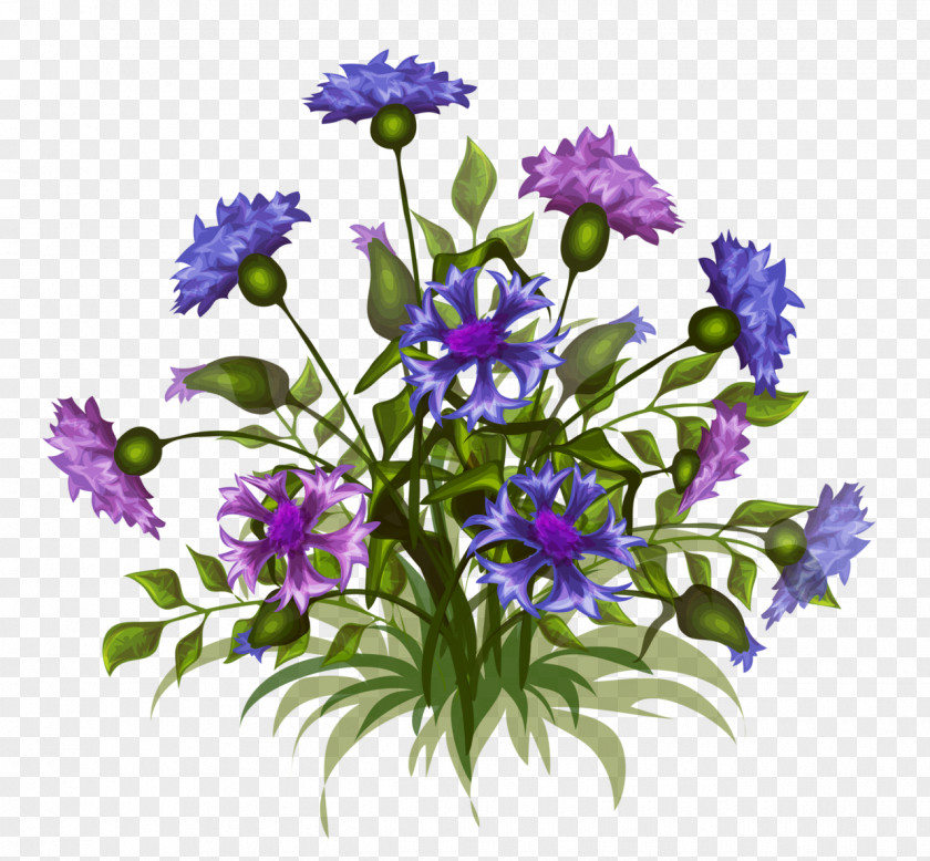 Flower Floral Design Vector Graphics Image Illustration PNG