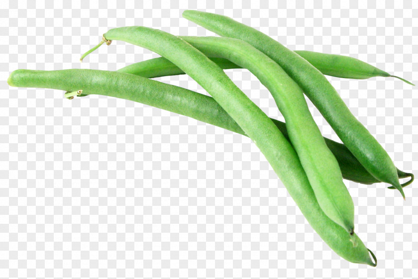 Green Beans Bean Vegetable Garlic PNG