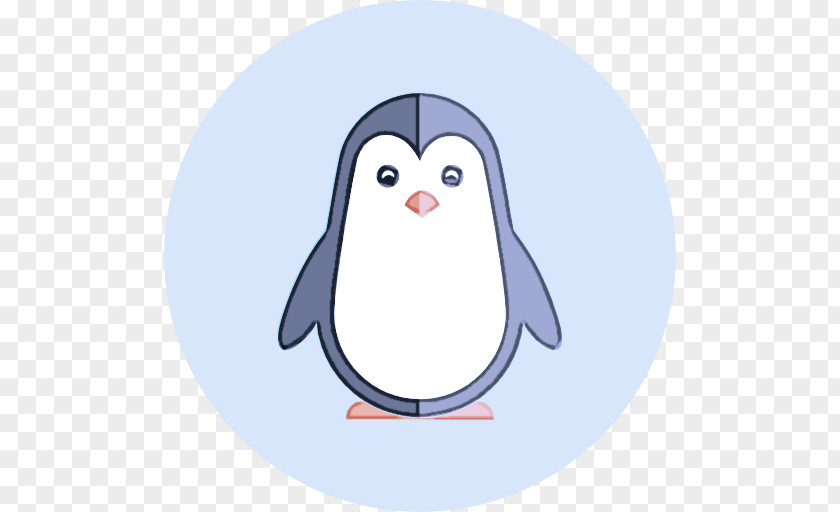 Plate Emperor Penguin PNG