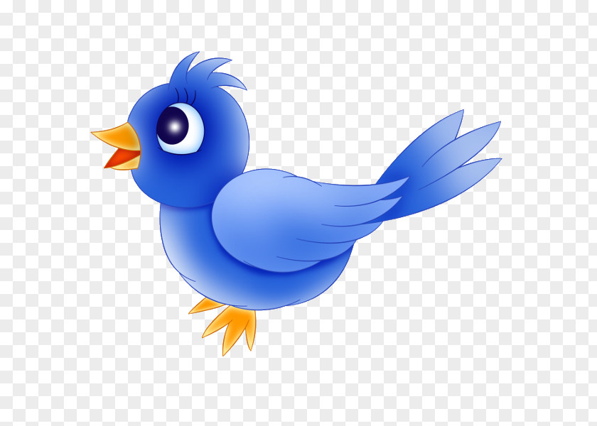 Blue Background Bird Cartoon Clip Art PNG