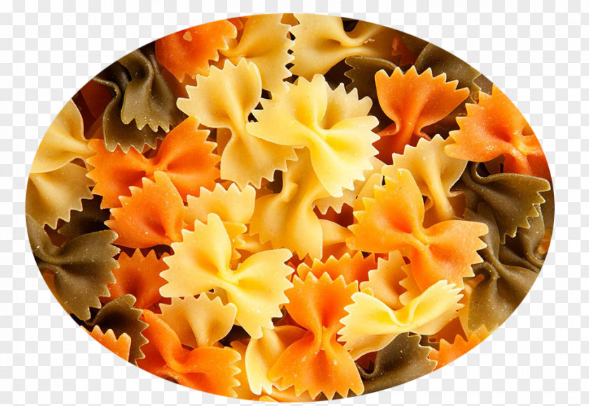 Butterfly Picture Farfalle PNG