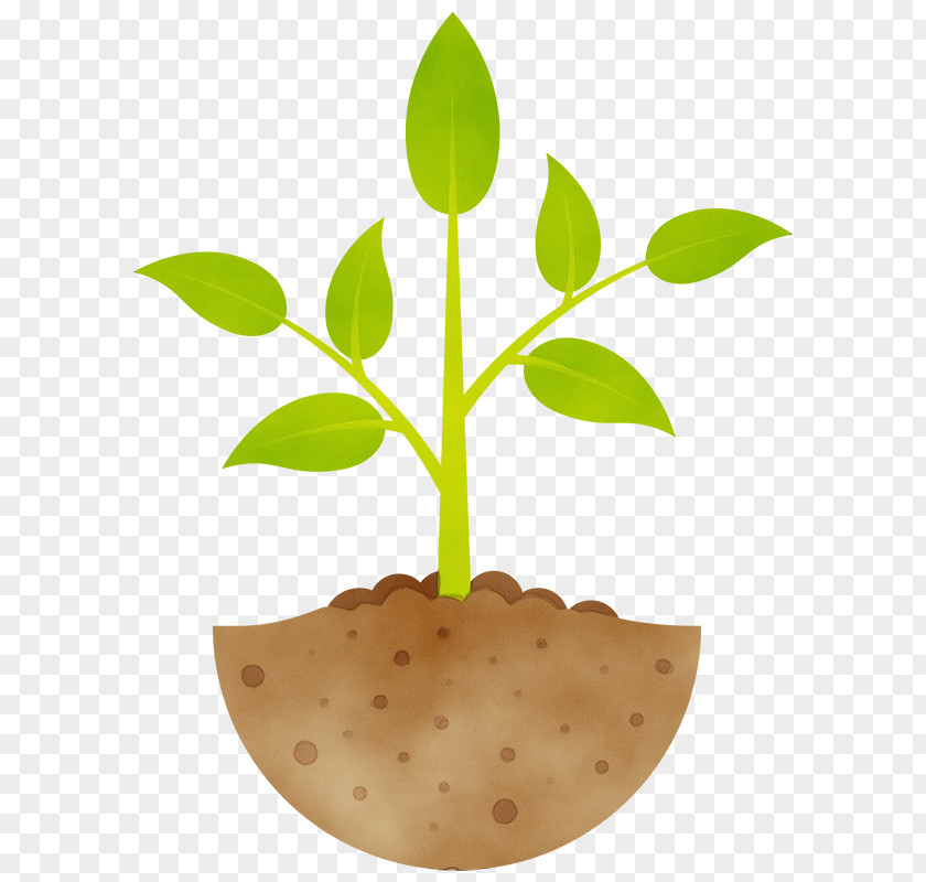 Cartoon Seedling Flowerpot Plant Development Sowing PNG