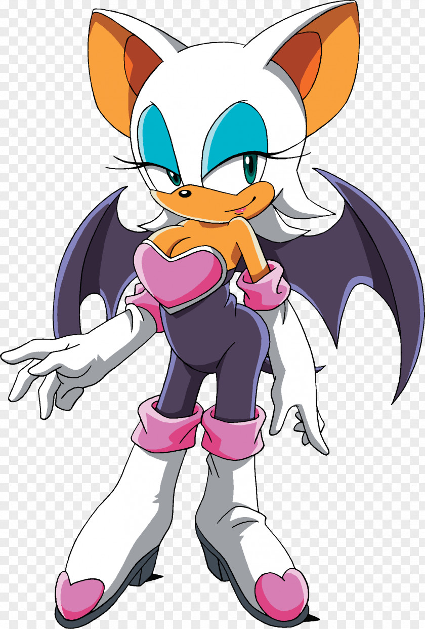 Chameleon Rouge The Bat Sonic Hedgehog Shadow Knuckles Echidna Tails PNG