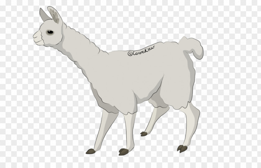 Sheep Cattle Goat Llama Horse PNG