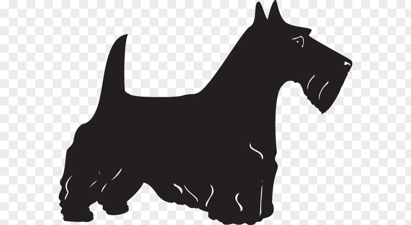 Silhouette Scottish Terrier Yorkshire Scotland West Highland White PNG