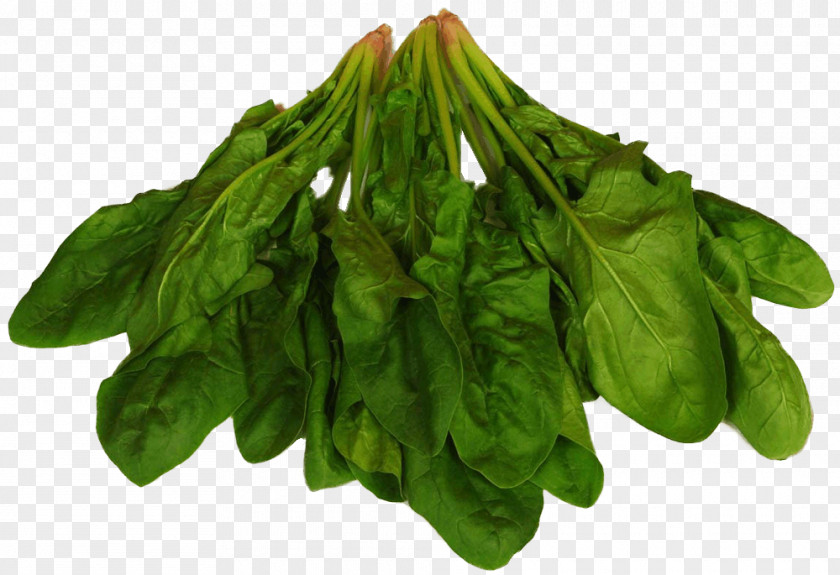 Spinach Food Chard Leaf Vegetable Eating PNG