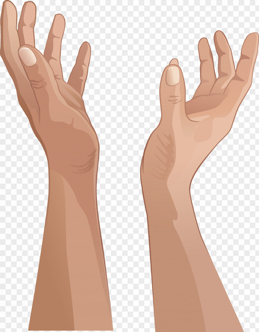 Upper Limb Hand PNG limb Hand, hands clipart PNG