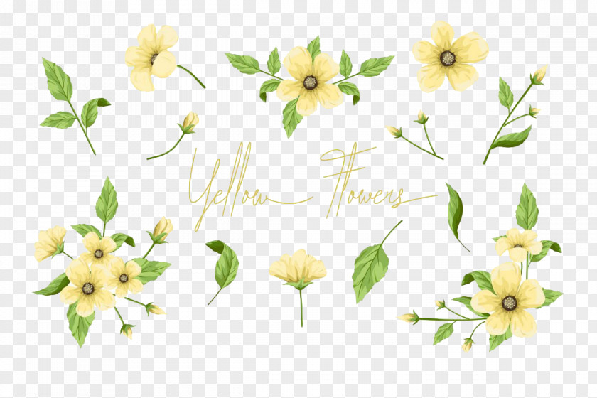 Wildflower Branch Floral Flower Background PNG