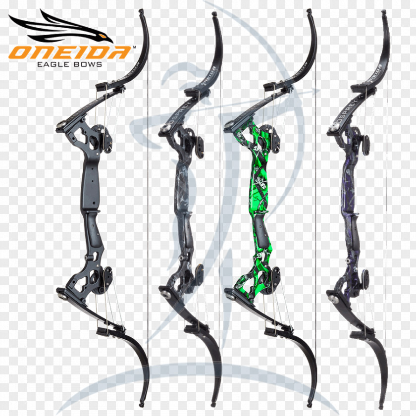 Arrow Bow And Bowfishing Compound Bows Recurve Archery PNG
