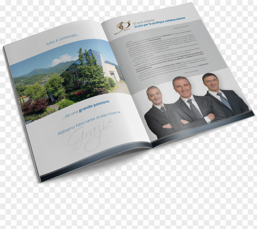 Brochure Background Olginate Sala Punzoni Organization Comb Leadership PNG