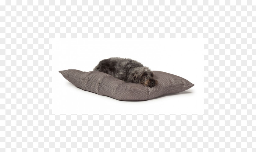 Dog Duvet DoggieGadgets.com Bed Sleep PNG