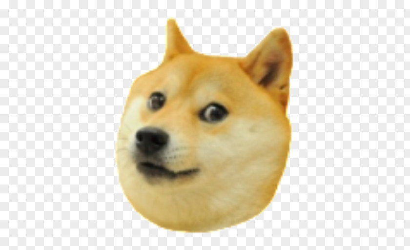 Doge Shiba Inu 0 Star Doge: Weird Game T-shirt PNG