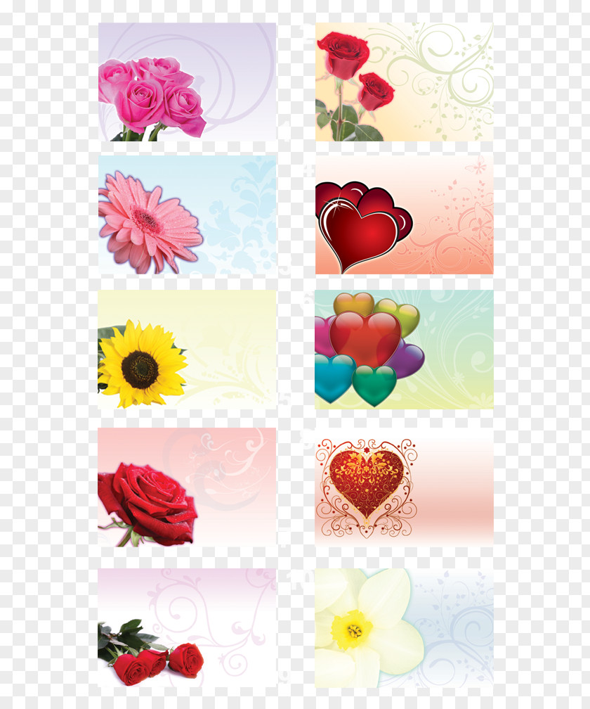 Flower Floral Design Artificial Cut Flowers Desktop Wallpaper PNG