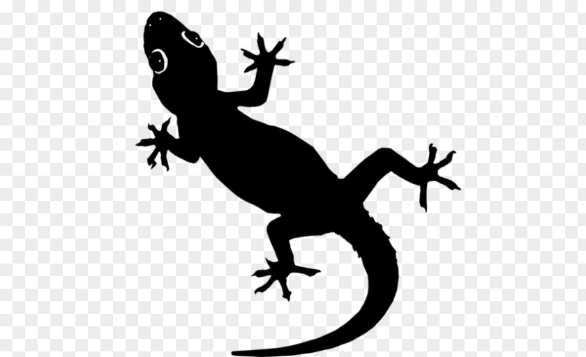 Frog Lizard Reptile Hoodie Clip Art PNG