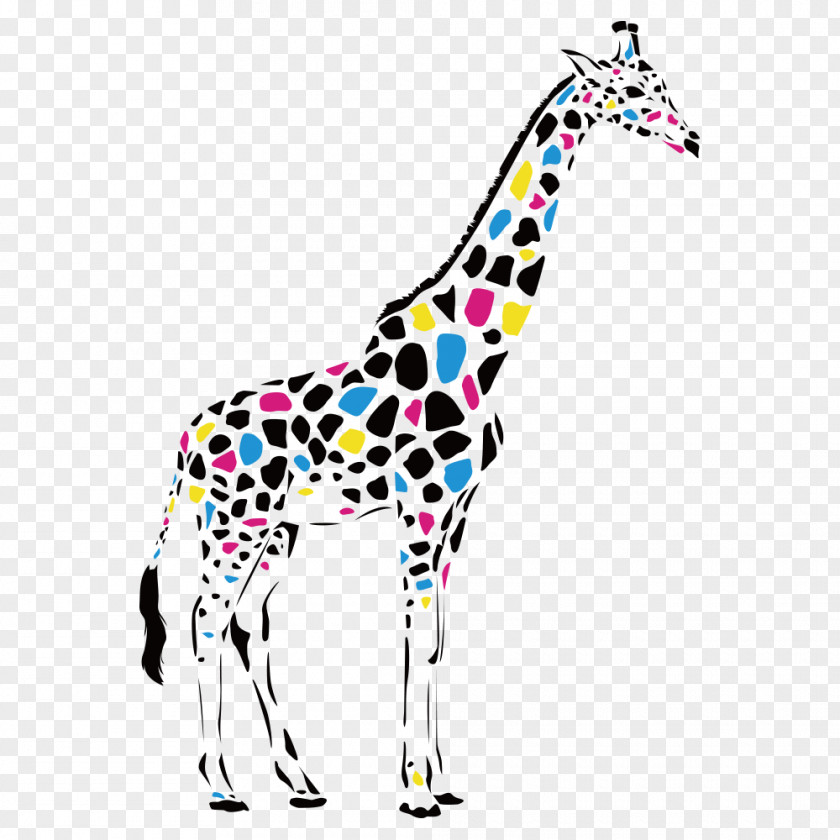 Giraffe Reticulated Abstract Art Drawing Painting PNG