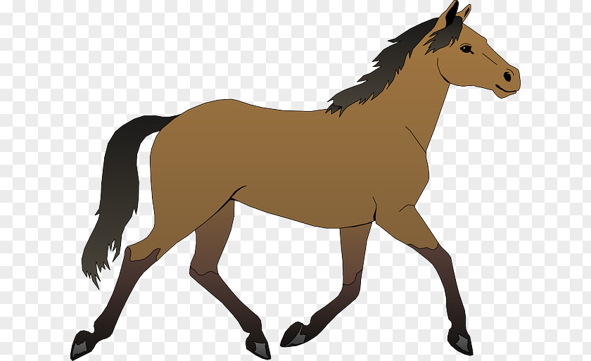 Horse Pony Foal Clip Art PNG