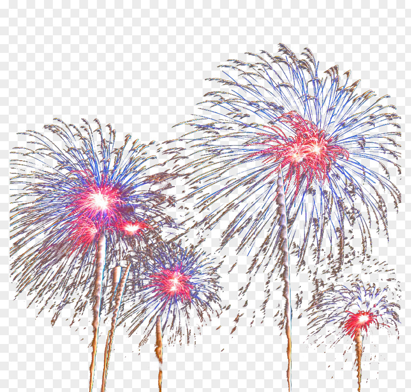 Nice Fireworks Pyrotechnics PNG