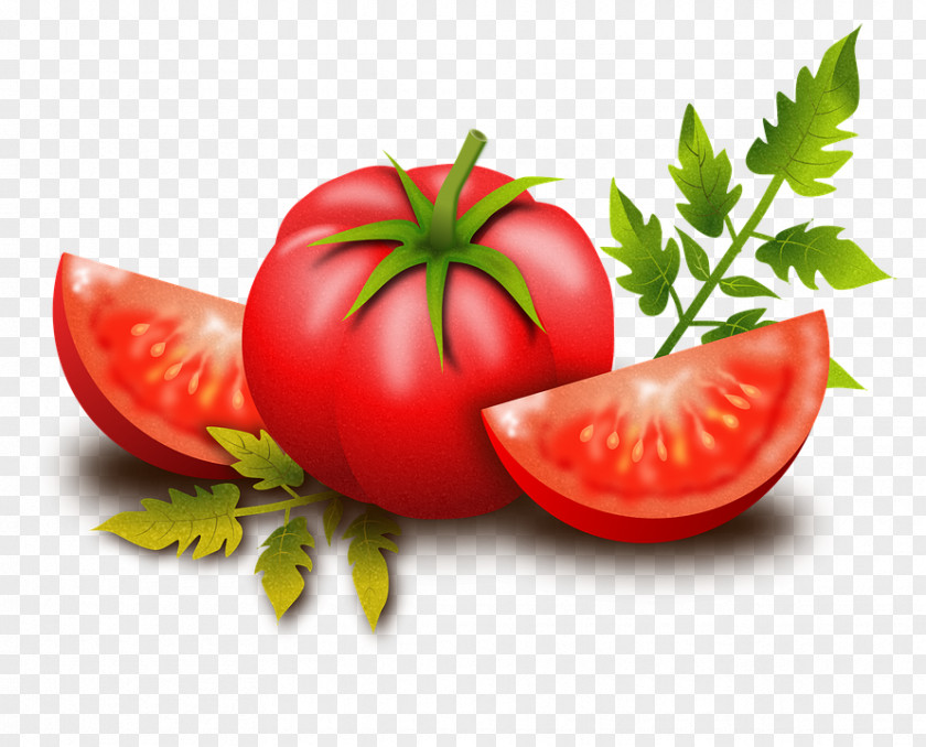 Tomato Pizza Vegetable Clip Art PNG