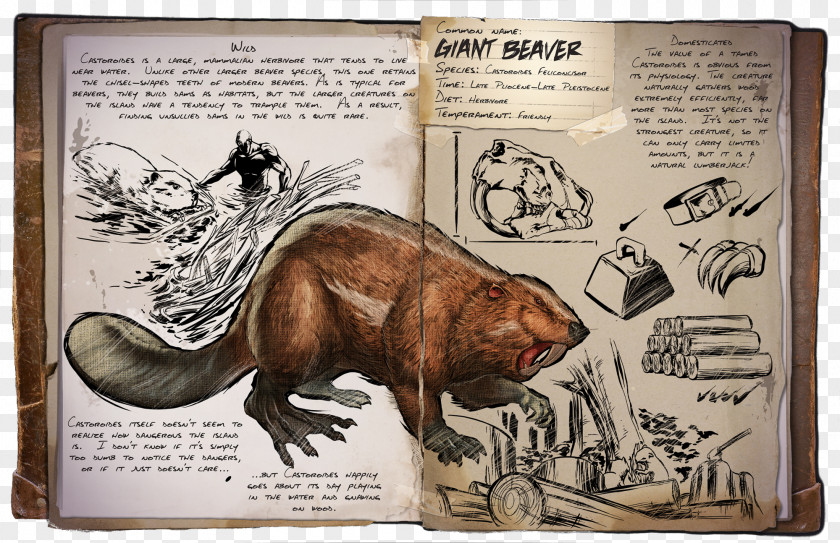 Beaver ARK: Survival Evolved Giant Castoroides Tapejara PNG