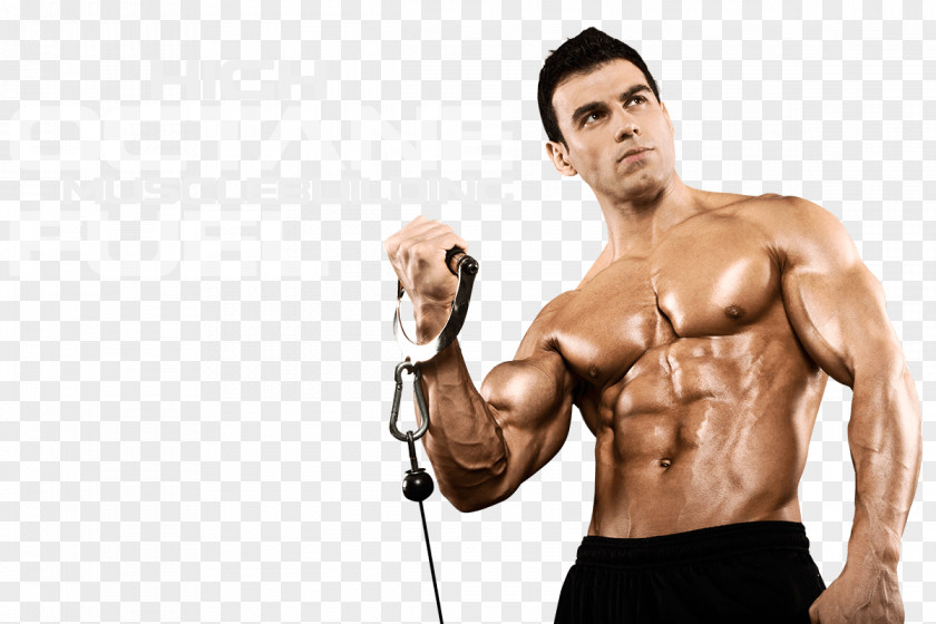 Bodybuilding Growth Hormone Steroid Human Development Factor PNG