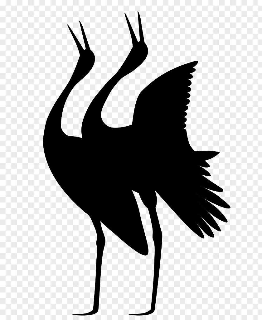 Crane Beak Cygnini Goose Bird PNG