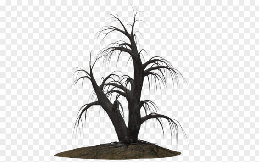Dead Tree Drawing DeviantArt PNG