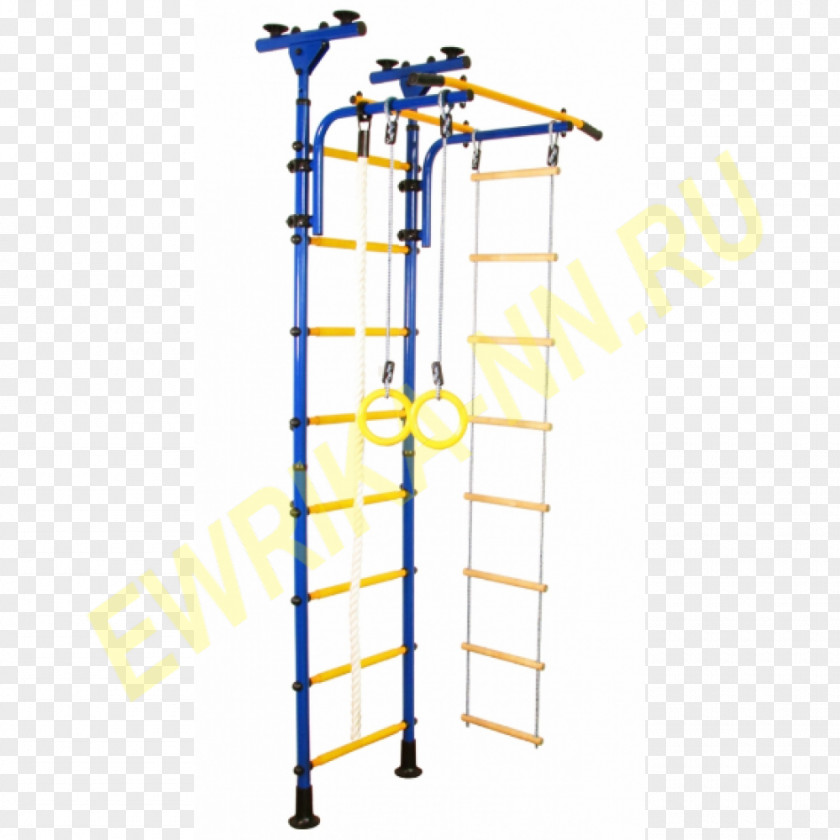 Gymnastics Wall Bars Sport Athlete Floor PNG